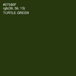 #27380F - Turtle Green Color Image